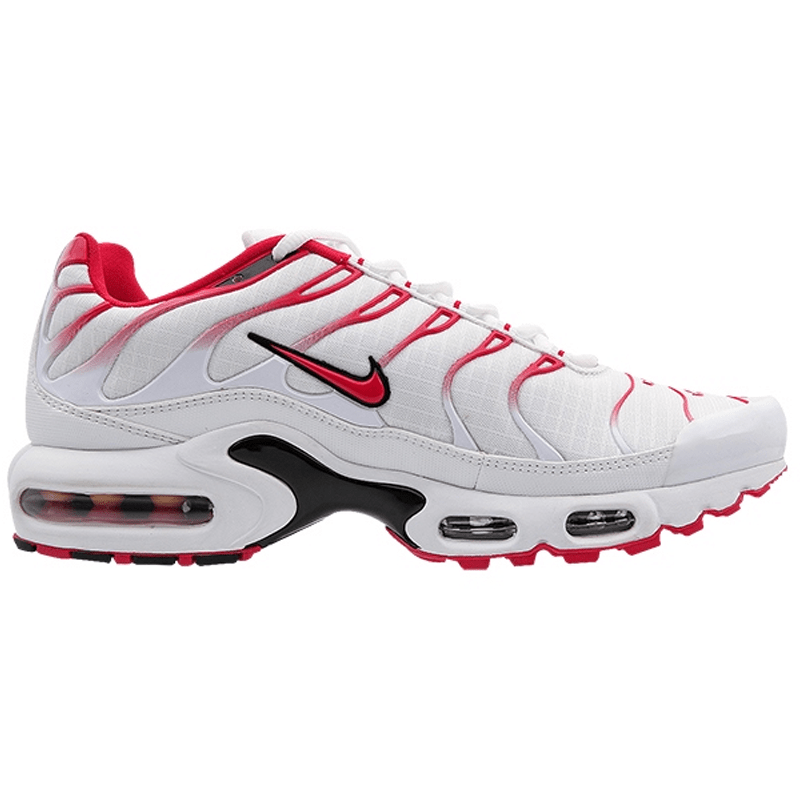 Mens Nike Air Max Plus TN 2013 Dragon