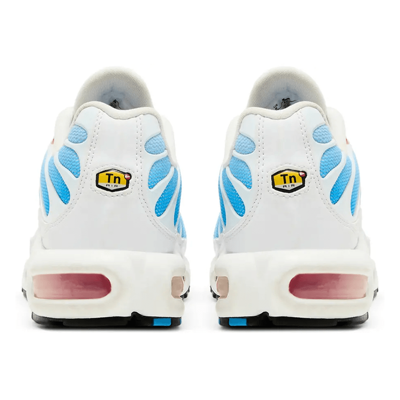 Mens Nike Air Max Plus TN Tide