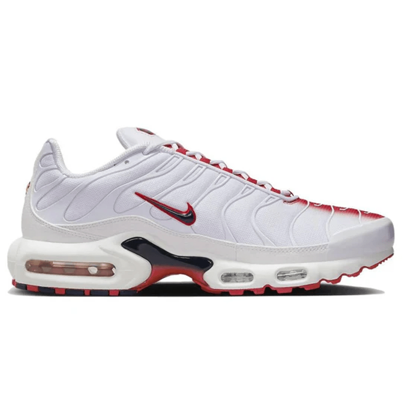 Mens Nike Air Max Plus TN Bloodshot