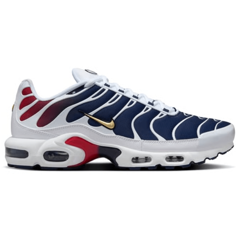 Mens Nike Air Max Plus TN PSG