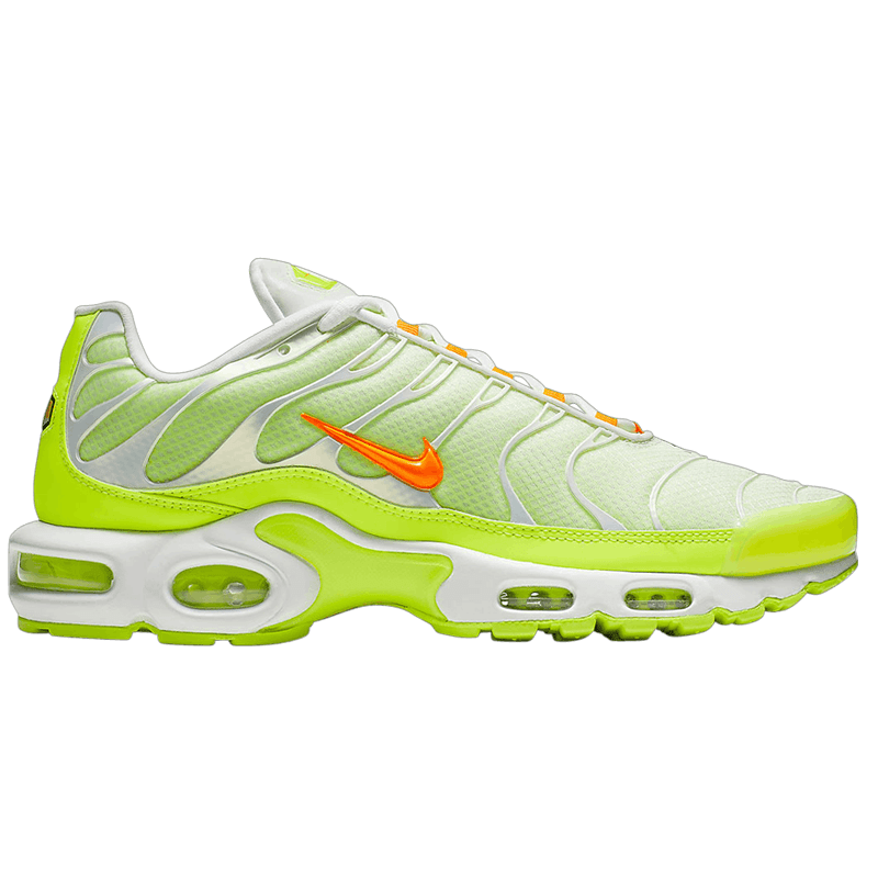 Mens Nike Air Max Plus TN Light Colourflip