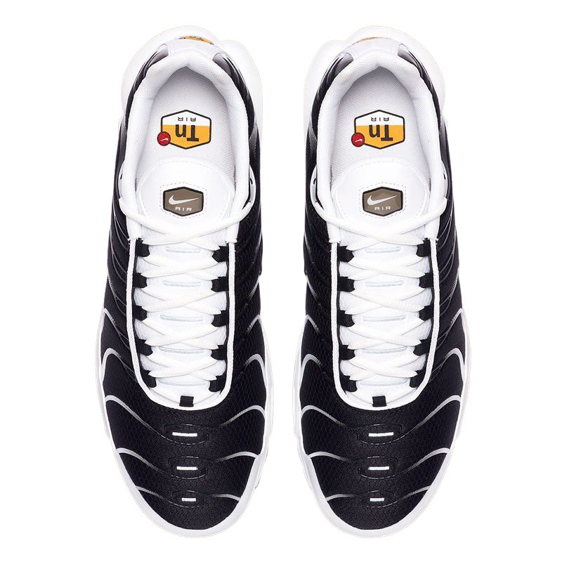 Mens Nike Air Max Plus TN Killerwhale